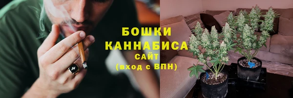 ешки Струнино