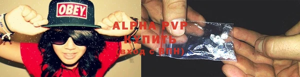 стаф Вяземский