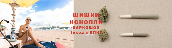 стаф Вяземский