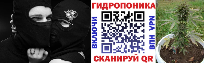 ссылка на мегу ONION как найти закладки Печора Бошки марихуана Bruce Banner